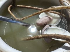 -杨厝六十六农庄农舍(杨厝路店)