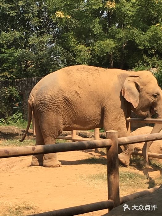 南昌動物園圖片