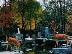 -周口店北京人遗址公园