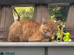-鼓浪屿钢琴博物馆