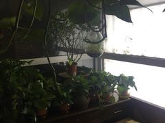 -孙三拨按摩(大纺店)