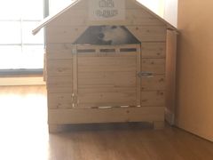 -Husky Go! 哈士奇体验馆·宠物咖啡厅狗咖