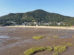 -花岙岛
