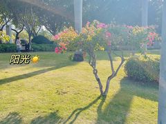-白鹭洲公园
