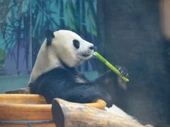 -石家庄市动物园