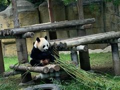 -上海野生动物园