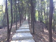 山路-广州市帽峰山景区