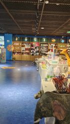 -飞览天下沉浸式飞行体验(北京旗舰店)