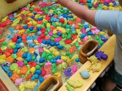 -南宫温泉水世界