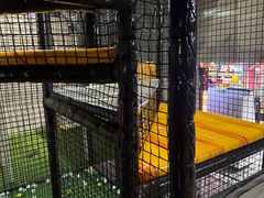 -嗨翻Hi-Fun竞技主题乐园·蹦床亲子生日轰趴(国光1937店)