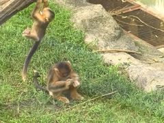 -大连森林动物园