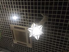 -JOJO实景沉浸侦探剧本杀(大悦城店)