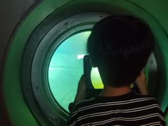 -白鹤梁水下博物馆