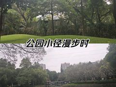 -晓港公园