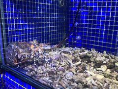 -青蓬蒸汽海鲜·深圳老字号·团建聚会(壹方城店)