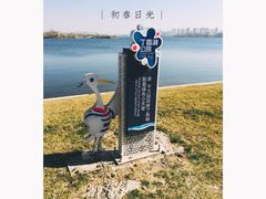 -丁香湖公园