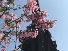 -木渎古镇