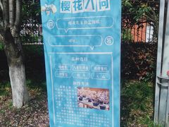 -高东镇樱花园