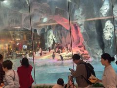 -帝企鹅自助餐厅•儿童岛•真企鹅(长隆企鹅酒店)