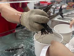 -养牛邓·潮汕牛肉海鲜自助火锅(广州店)