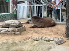 -西霞口神雕山野生动物世界