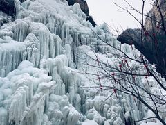 -黑龙潭风景区