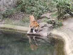 -杭州动物园