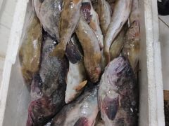 -南山鲜虾面·活鲜小馆·海味大连菜(南山总店)