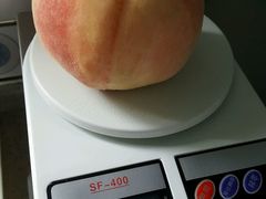 -上海市长春食品商店(淮海中路店)
