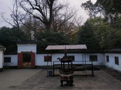 -西湖风景区十里琅珰-五云山