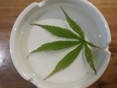 -帅巴人舅母子腊蹄民俗村