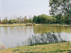 -贡湖湾湿地公园