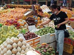 -三亚新鸿港水果一级批发市场