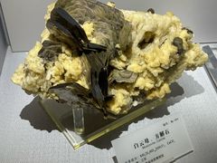 -湖南省地质博物馆