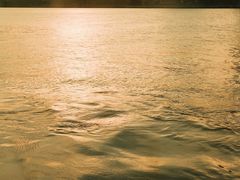 -丹东路渡口(轮渡站)