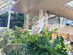 -BeauTea水仙(coco park店)