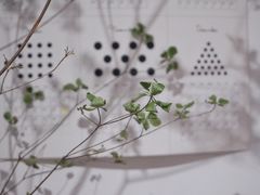 -COTTON CAFE(德信·中外公寓店)