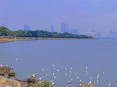 -深圳湾公园(南山区)