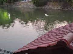 -上海交通大学(闵行校区)