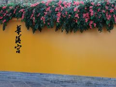 -华清宫景区