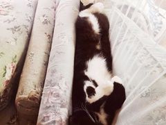 -么么咖啡(燕郊店)