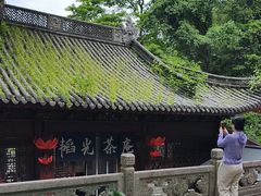 -韬光茶庵