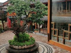 -猫的天空之城概念书店(丽江古城饮玉巷店)
