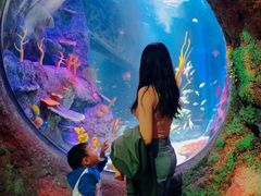 -沈阳海洋探索中心