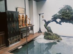 -觀芷隐轩