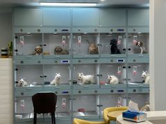 -萌宠之家·腊肠犬·马尔泰·小体犬舍