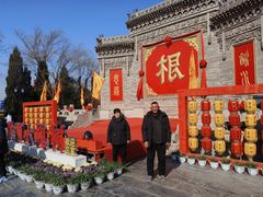 -大槐树寻根祭祖园