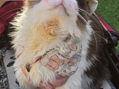 -老外街