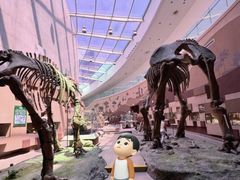 -陕西自然博物馆