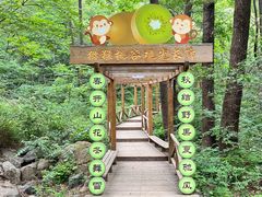 -大岭沟猕猴桃谷风景区